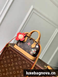 Louis Vuitton CUSTOMIZABLE Alma nano M12199 