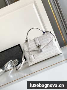 Louis Vuitton Calfskin M84714 light gray