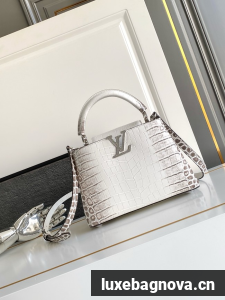 Louis Vuitton Capucines BB M88299 light gray