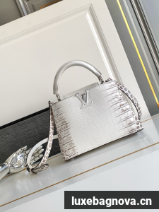 Louis Vuitton Capucines BB M98177 light gray