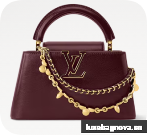 Louis Vuitton Capucines East-West Mini M25473 Grenat Red