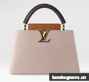 Louis Vuitton Capucines MM M12956 Galet& Tan & Chocolate