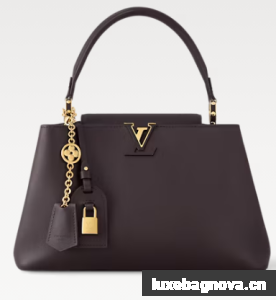 Louis Vuitton Capucines MM Souple M12929 Chocolate