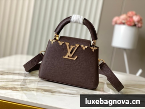 Louis Vuitton Capucines Mini M11341 Chocolate