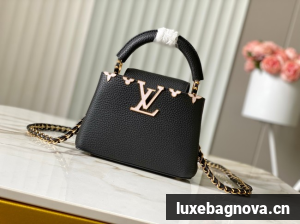 Louis Vuitton Capucines Mini M11342 black