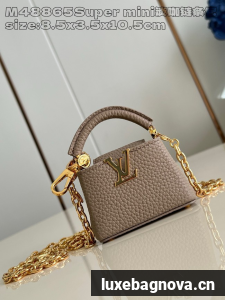 Louis Vuitton Capucines NANO M48865 gray
