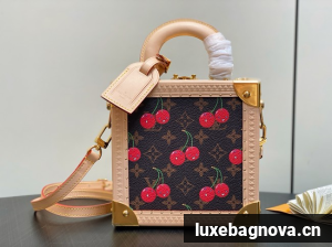 Louis Vuitton Handle Trunk M14040