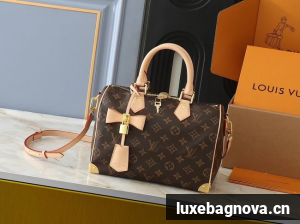 Louis Vuitton LV x TM Speedy Bandouliere 25 M13805