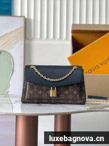 Louis Vuitton Monogram Canvas Original Leather M26285 black