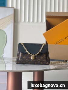 Louis Vuitton Monogram Canvas Original Leather M26398 black