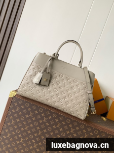 Louis Vuitton NEW Avenue MM M25575 gray