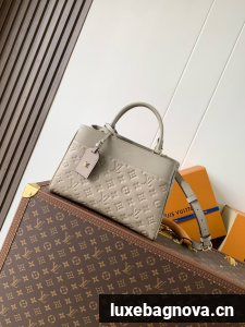 Louis Vuitton NEW Avenue PM M25577 gray