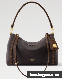 Louis Vuitton NEW Express MM M26397 Acajou