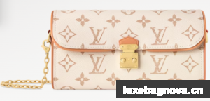 Louis Vuitton NEW Pochette Camille M26583