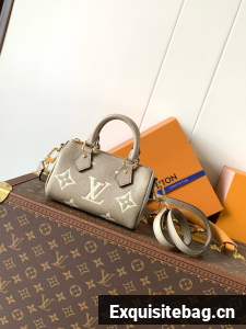 Louis Vuitton Nano Speedy M82450 gray