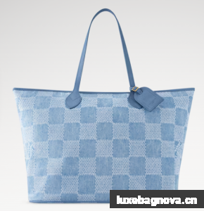 Louis Vuitton Nevereverfull N00198 blue