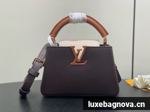 Louis Vuitton Ostrich Capucines BB M11908 Chocolate & Quartz & Tan
