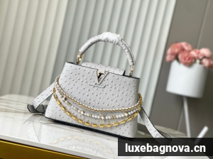 Louis Vuitton Ostrich Capucines BB M12345 gray