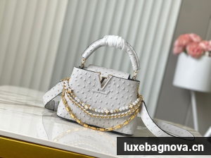 Louis Vuitton Ostrich Capucines Mini M11908 gray