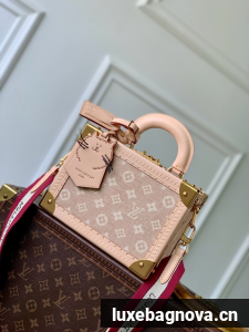 Louis Vuitton Petite Valise M14592