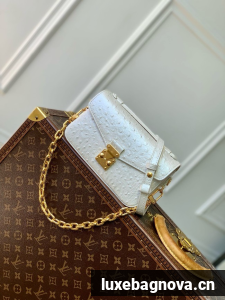 Louis Vuitton Pochette Metis East West N85902 white