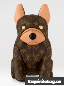 Louis Vuitton Pooch Bag M12617
