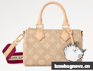 Louis Vuitton Speedy Bandouliere 20 M15151