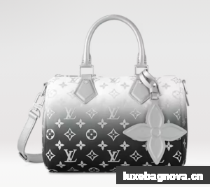 Louis Vuitton Speedy Bandouliere 25 M11848 Frost