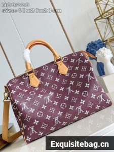 Louis Vuitton Speedy P9 40 N88228 Deep purple