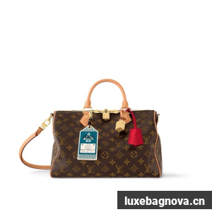 Louis Vuitton Speedy Soft 30 Crafty M11945