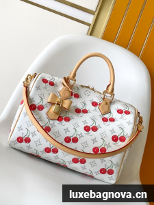 Louis Vuitton Speedy Soft 30 M14328