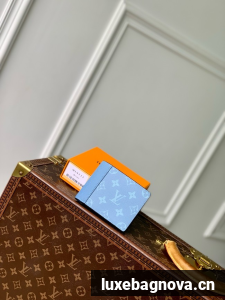 Louis Vuitton Wallet M14111 blue