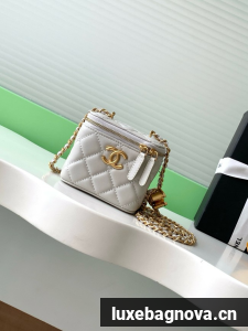 CHANEL Lambskin Small Vanity with Chain AP3941 Light Grey