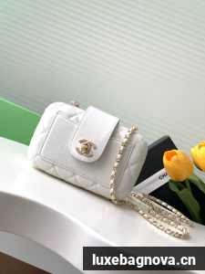 CHANEL MINI CAMERA CASE AS5178 white