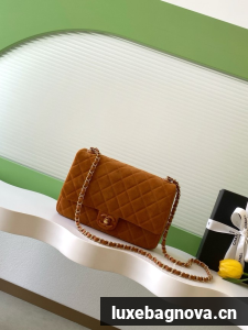 CHANEL Mini Flap Bag AS5989 Camel