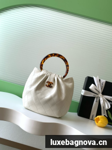 CHANEL Small Hobo Bag AS6022 white