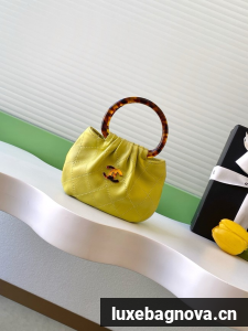 CHANEL mini Hobo Bag AS4981 green