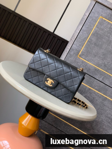 Chanel CLASSIC Original Leather 11.12 HANDBAG 1116 black