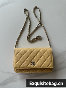Chanel Classic Wallet On Chain Grained Calfskin AP4241-18
