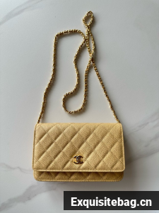Chanel Classic Wallet On Chain Grained Calfskin AP4241-19
