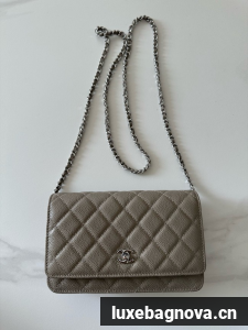 Chanel Classic Wallet On Chain Grained Calfskin AP4241-12