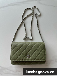Chanel Classic Wallet On Chain Grained Calfskin AP4241-2