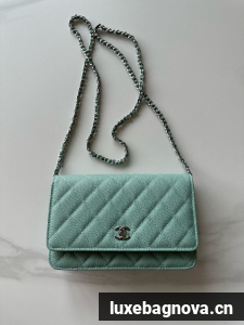 Chanel Classic Wallet On Chain Grained Calfskin AP4241-4