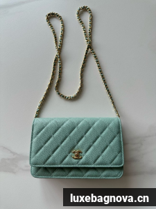 Chanel Classic Wallet On Chain Grained Calfskin AP4241-5