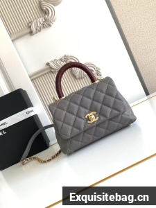 Chanel MINI FLAP BAG WITH TOP HANDLE AS2215-15