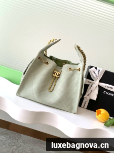 Chanel SUEDE HOBO BAG AS5293 LIGHT GREEN