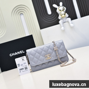 Chanel WALLET ON CHAIN AP4300 gray