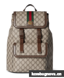 GUCCI AOPHIDIA SMALL GG BACKPACK 792114 Brown