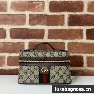 GUCCI Ophidia samll bag 816357 brown