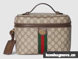 GUCCI PORTER MEDIUM TRAVEL BAG 811489 brown